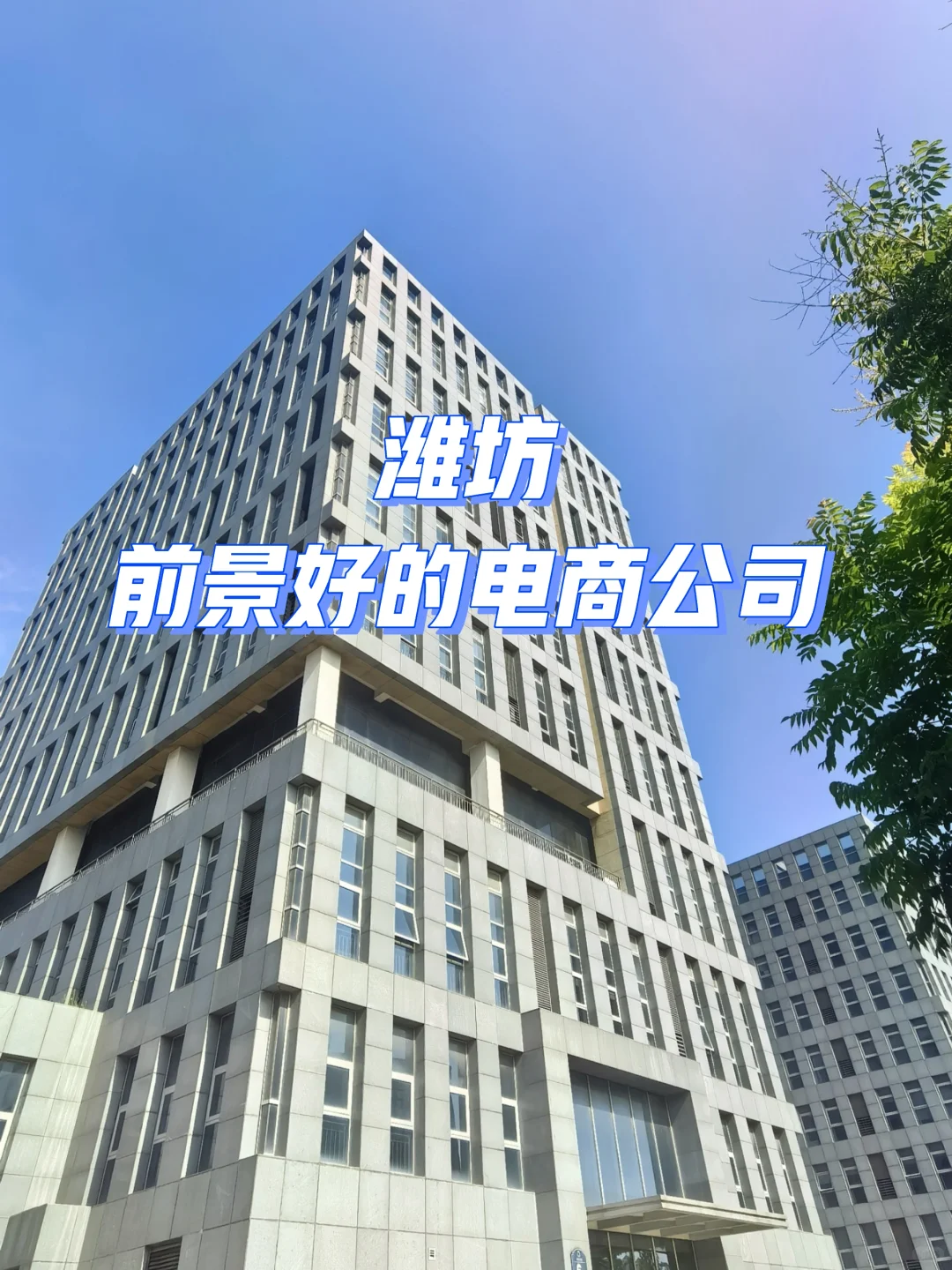 潍坊适合成长进步的神仙公司?亲测分享