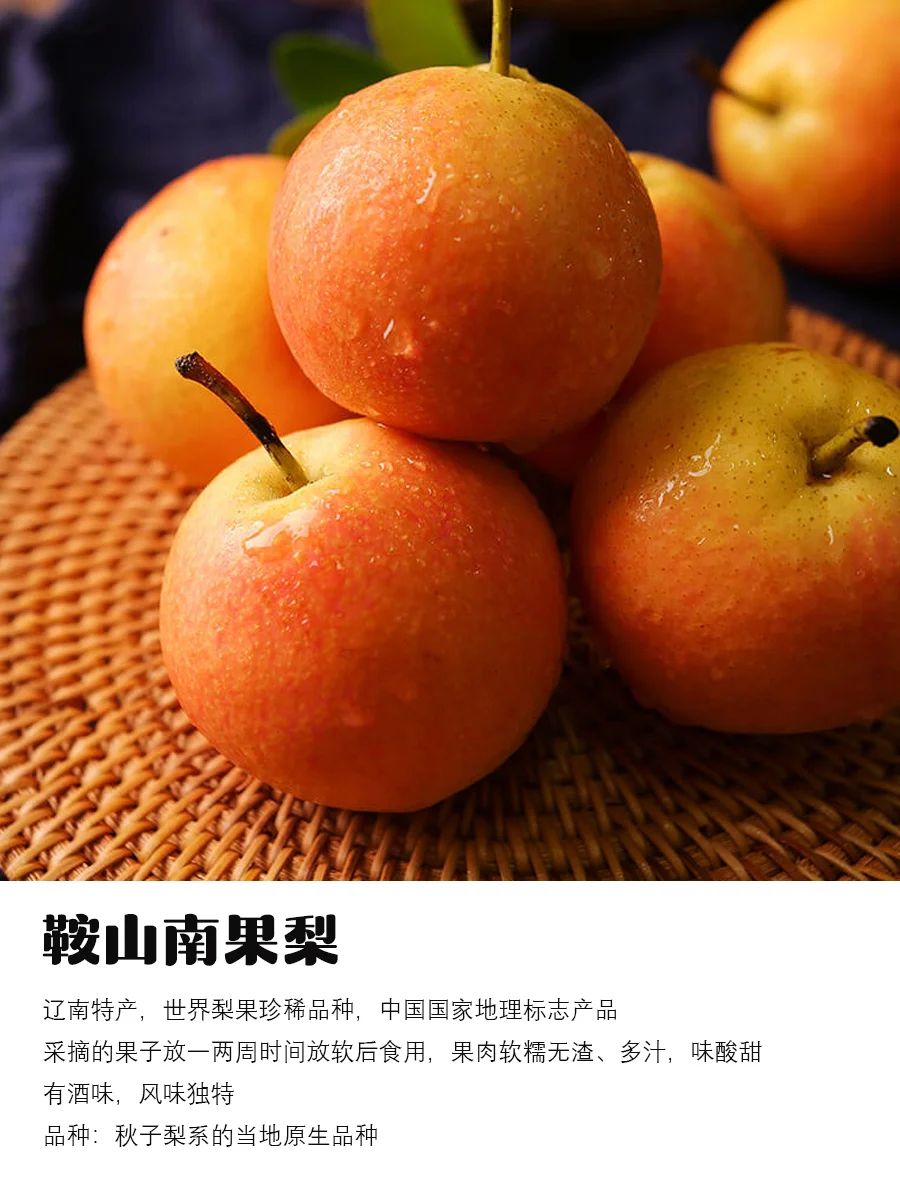 9月吃梨指南｜原产地、品种介绍