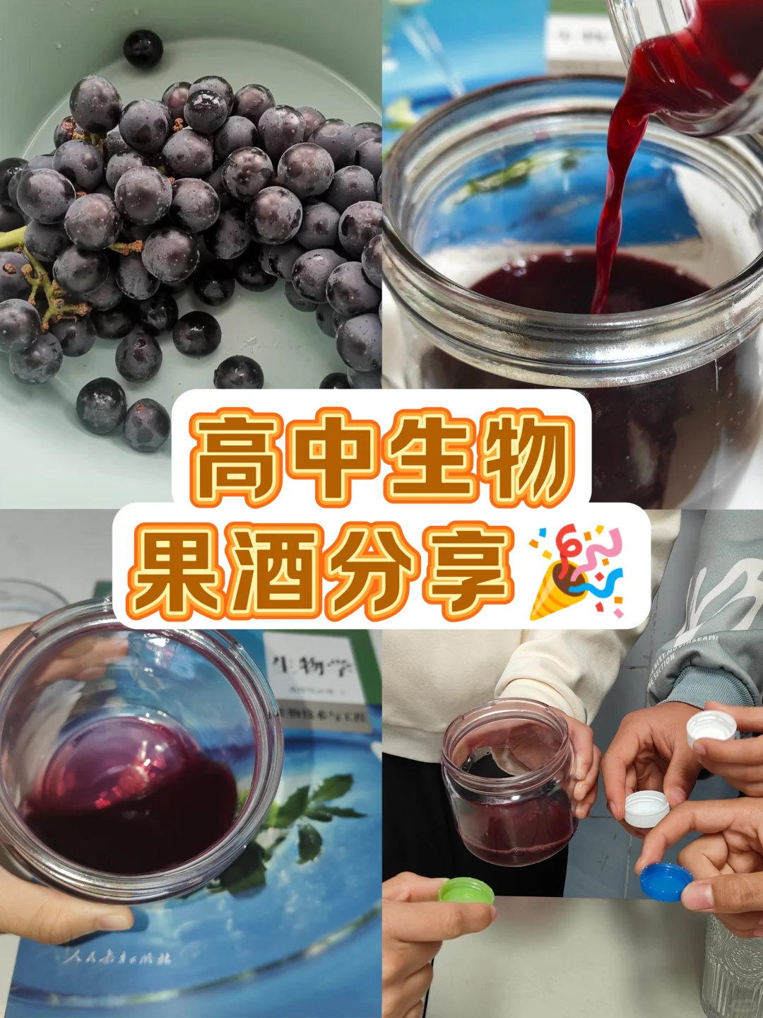 【高中生物果酒制作】经验总结➕注意事项