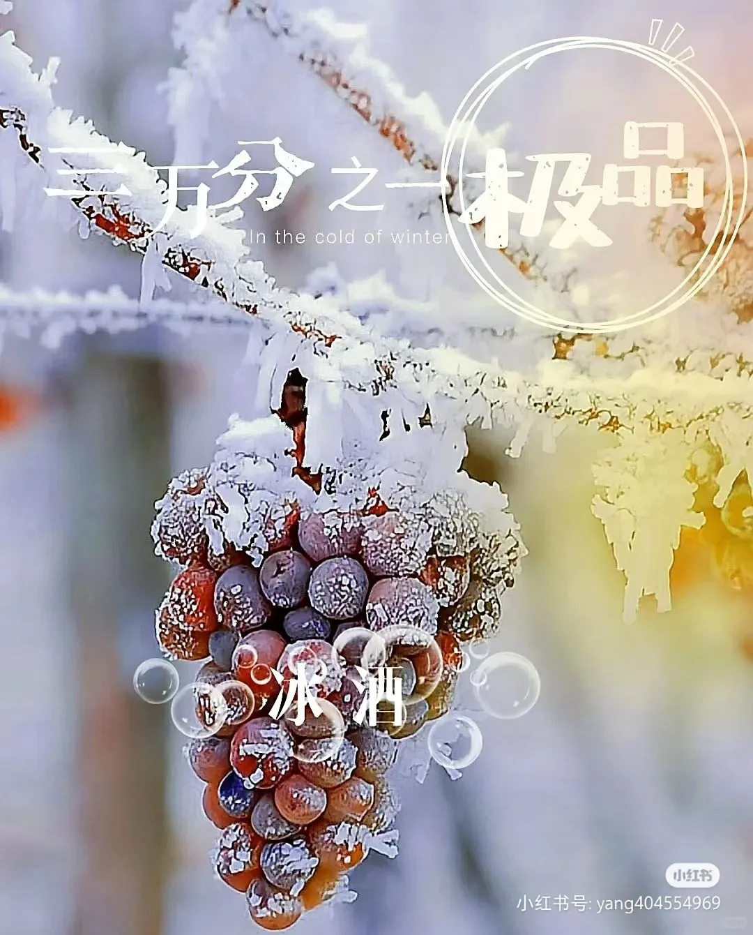 为什么冰酒、甜型葡萄酒等能俘获00后？