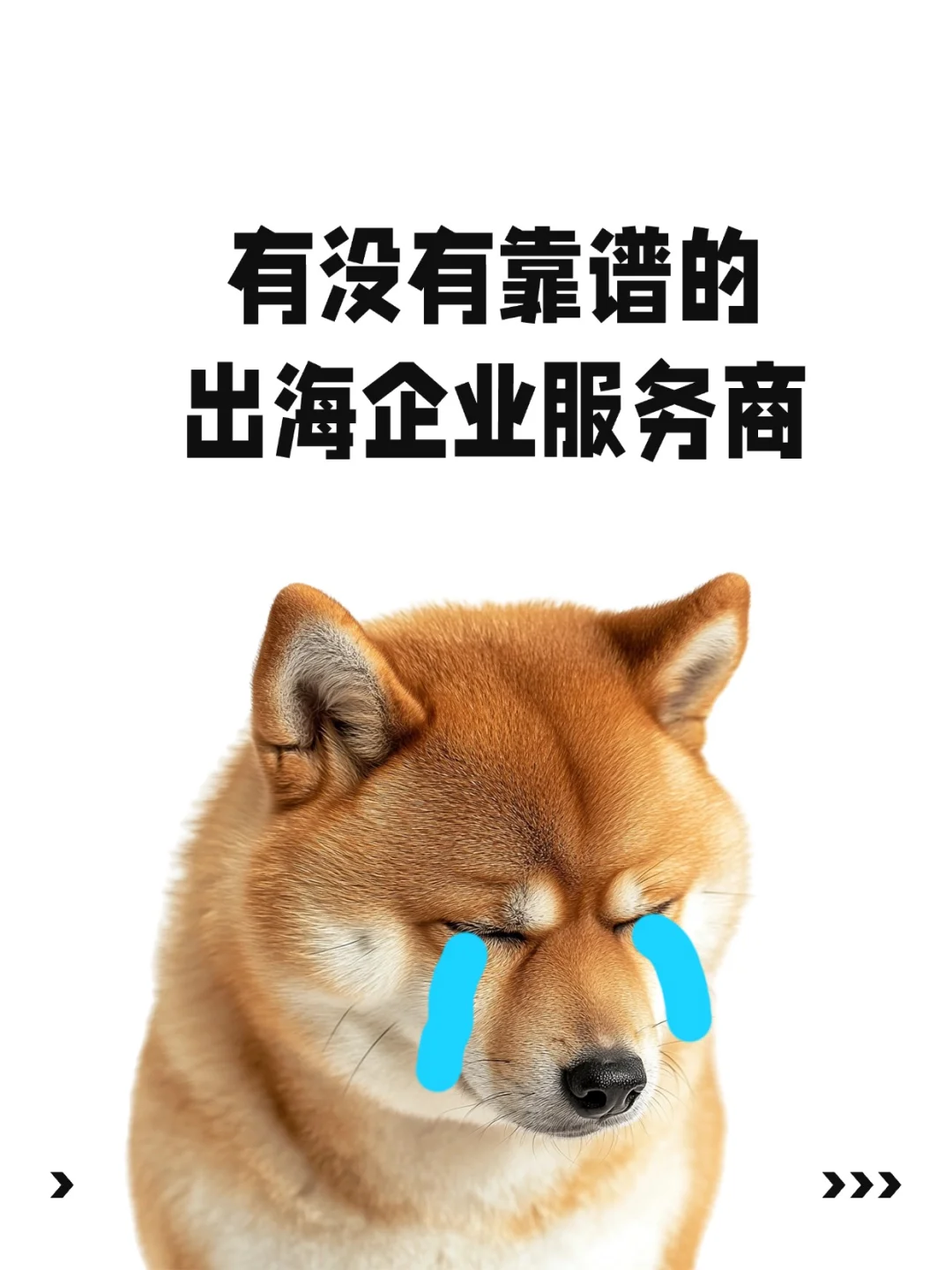 求靠谱企业出海?服务商