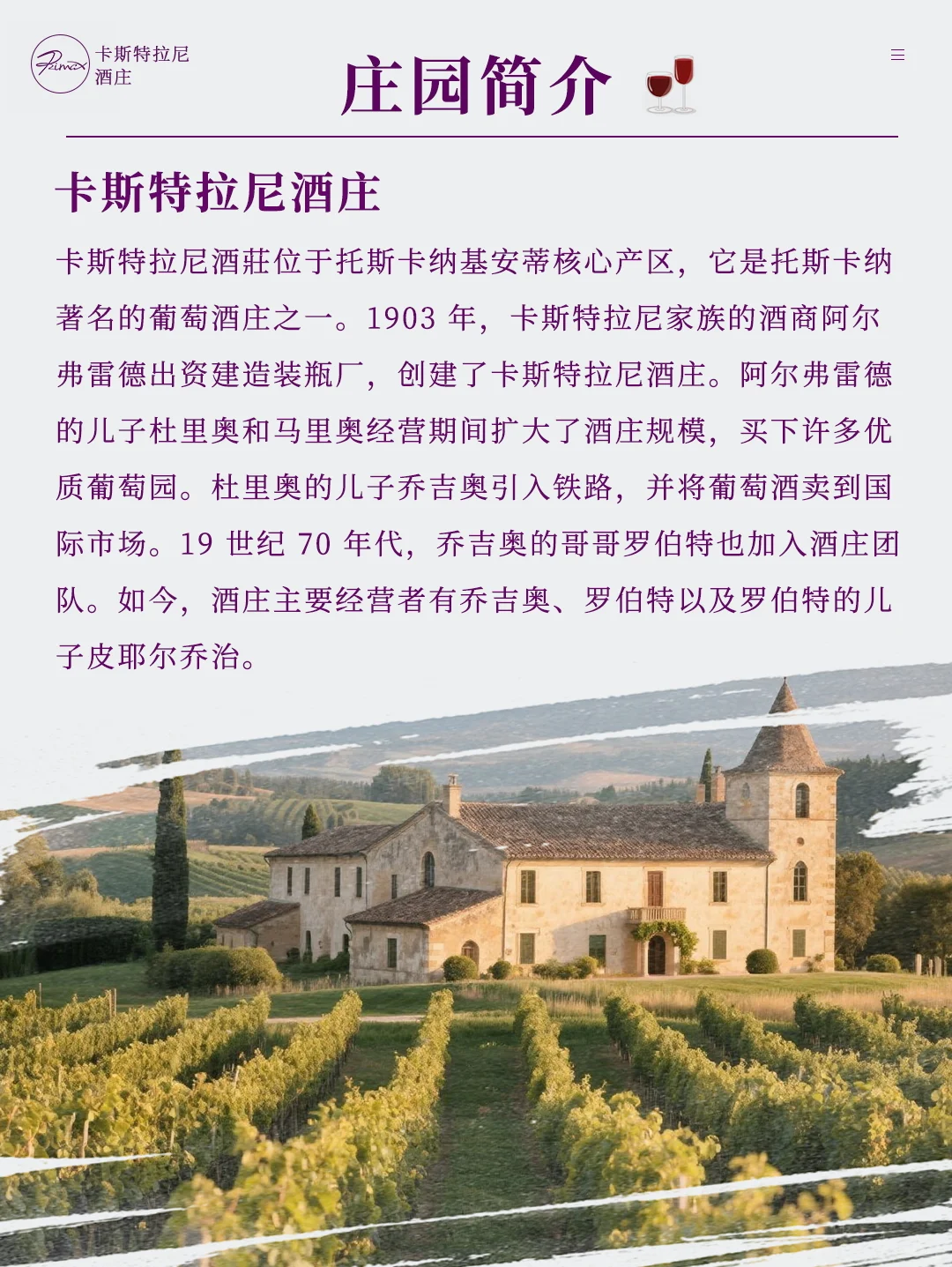 每天认识一款酒—瑞迈斯Rimax