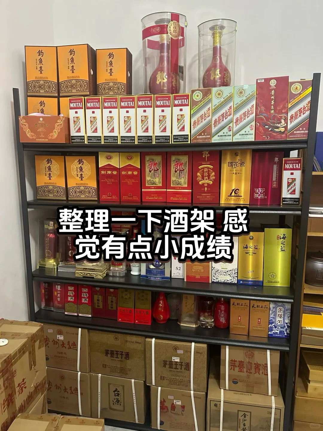 今年的战绩