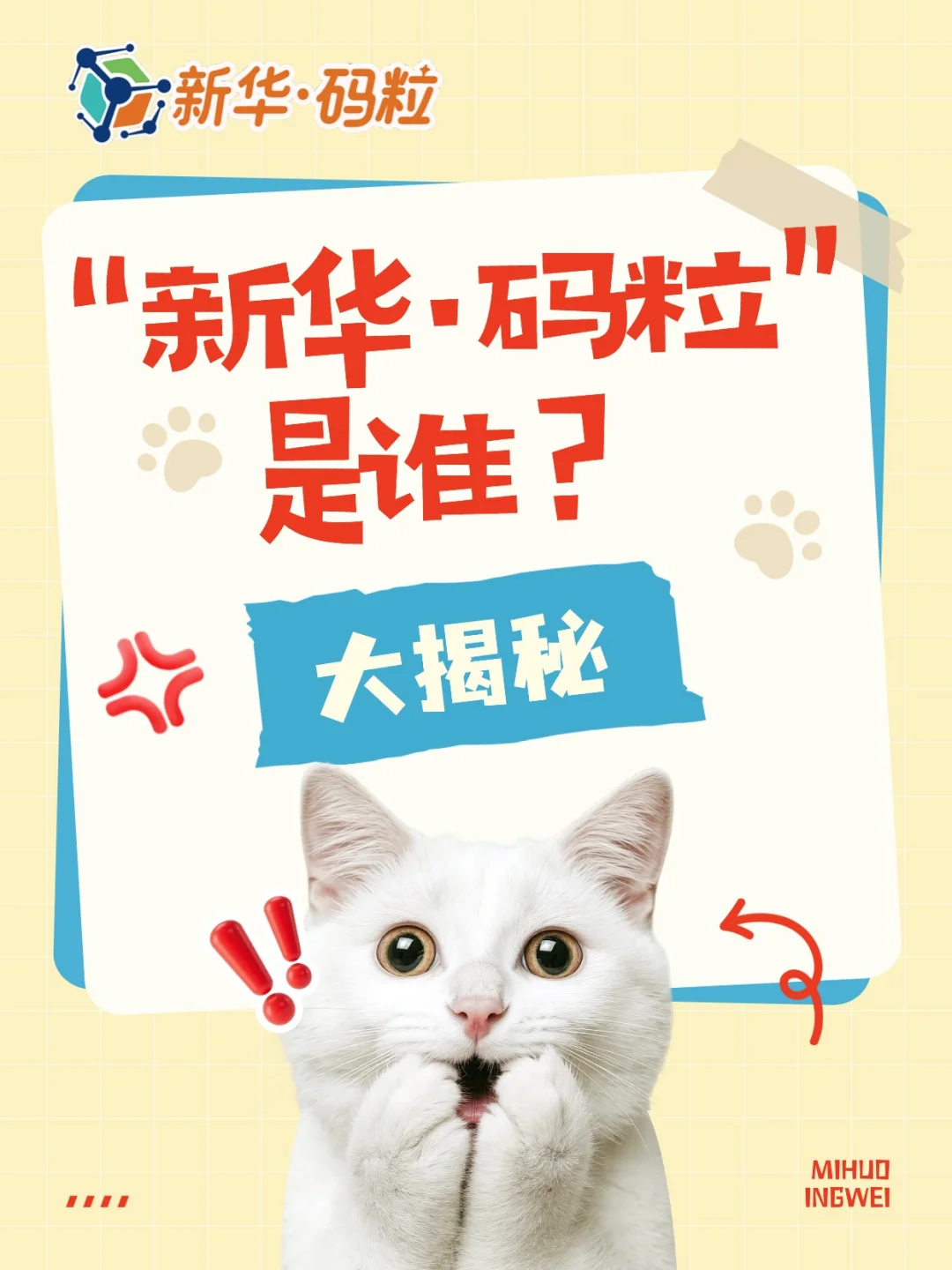 新华·码粒品牌介绍：一文解读