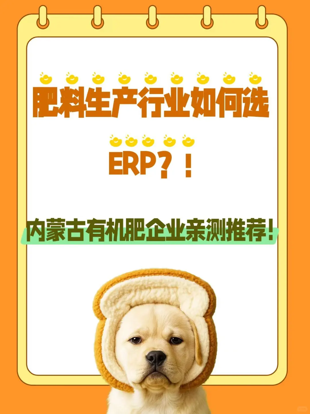 肥料生产行业如何选ERP？！内蒙古企业推荐
