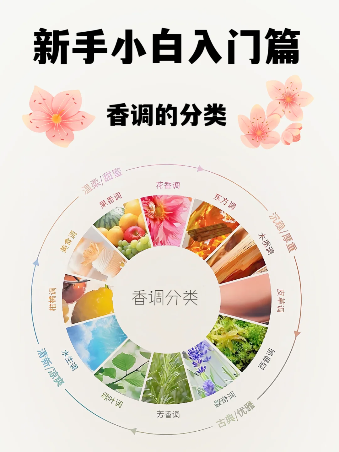 超详细！