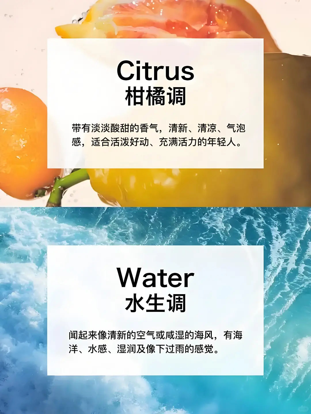 香水香调类型分类及介绍