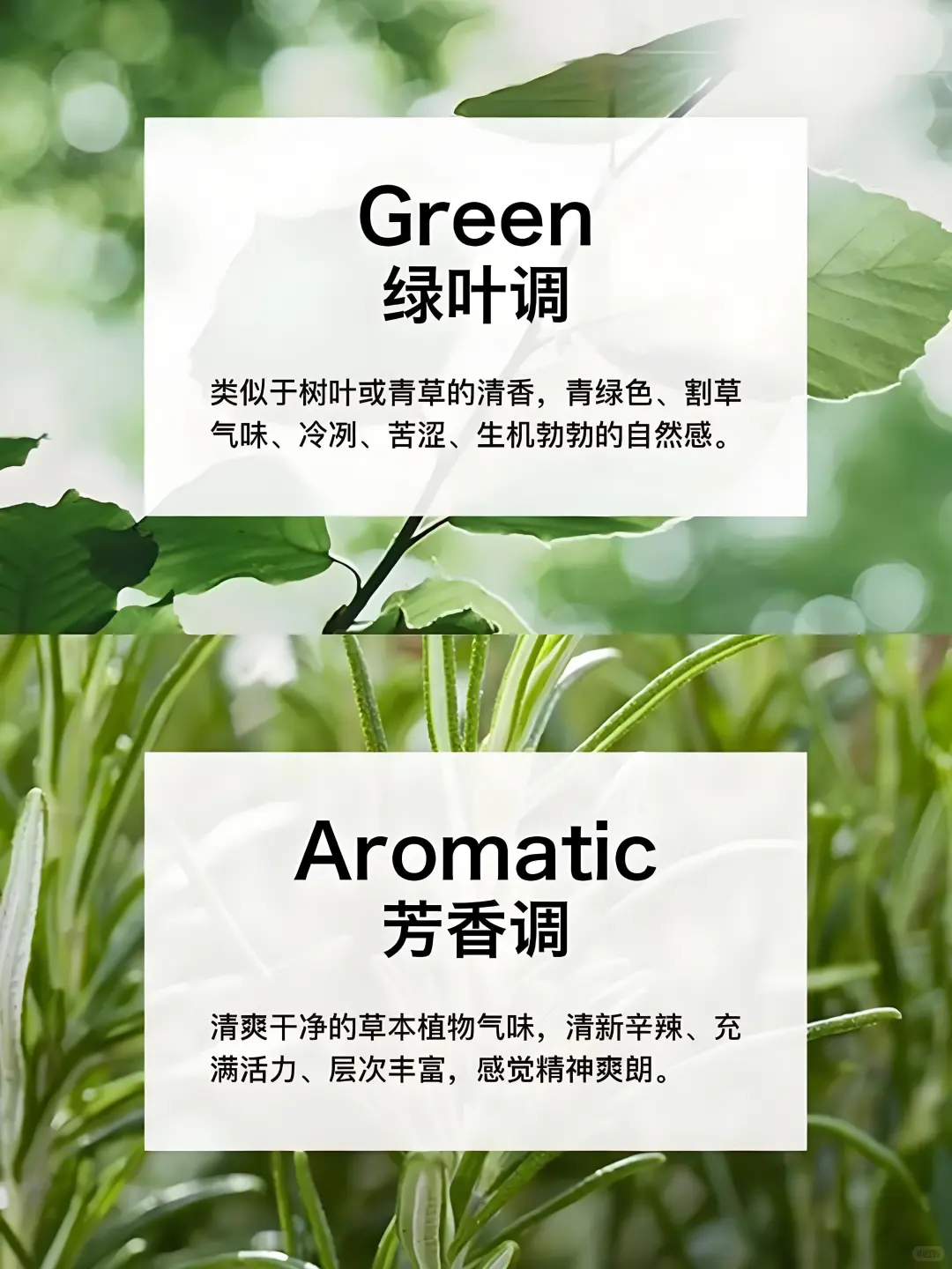 香水香调类型分类及介绍