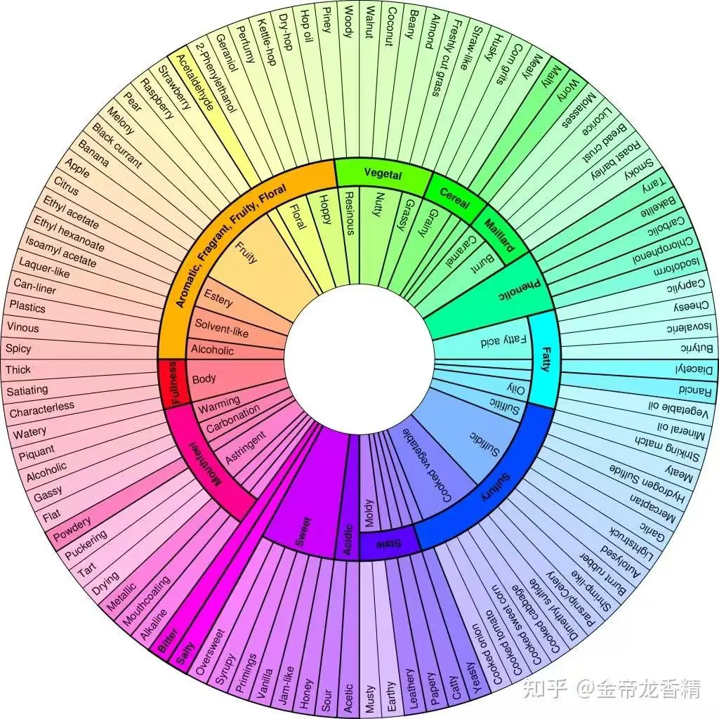一篇看完所有【香气分类法】