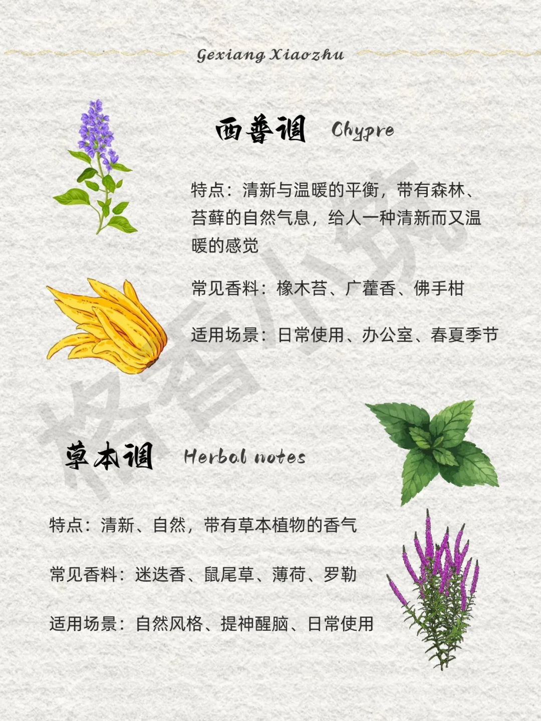 香味科普 | 新手必知的12种香调！