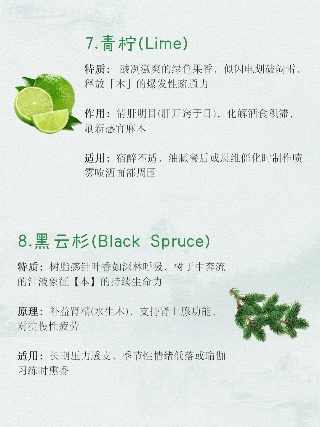 适合喜木之人的木质香气