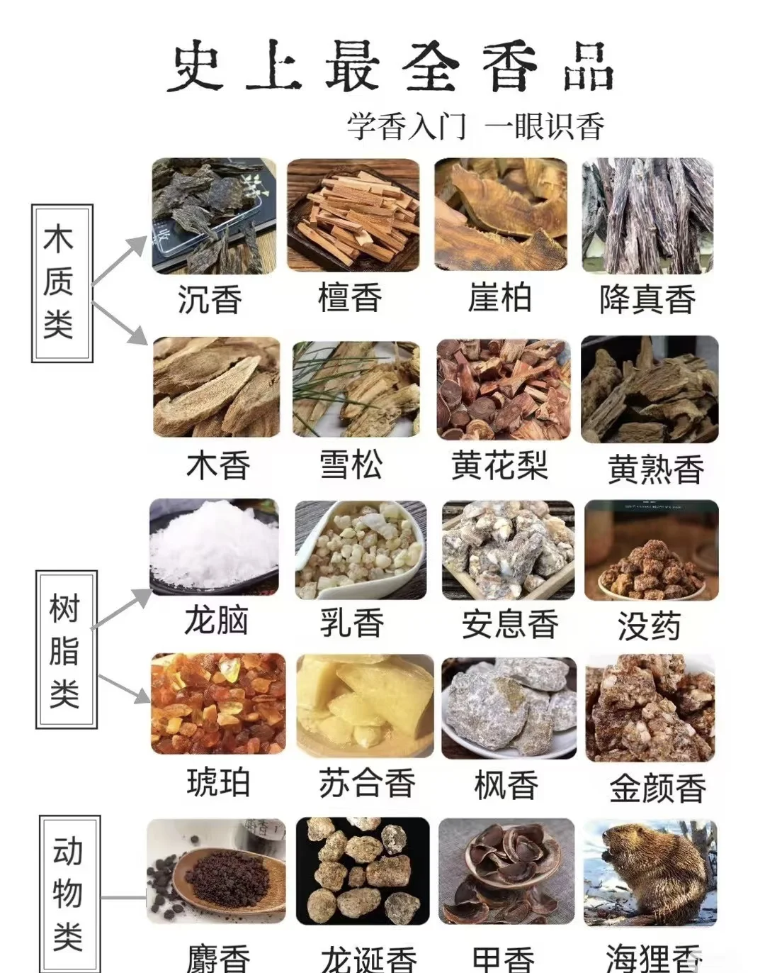 新手必看！超详细学香入门指南，带你一眼识