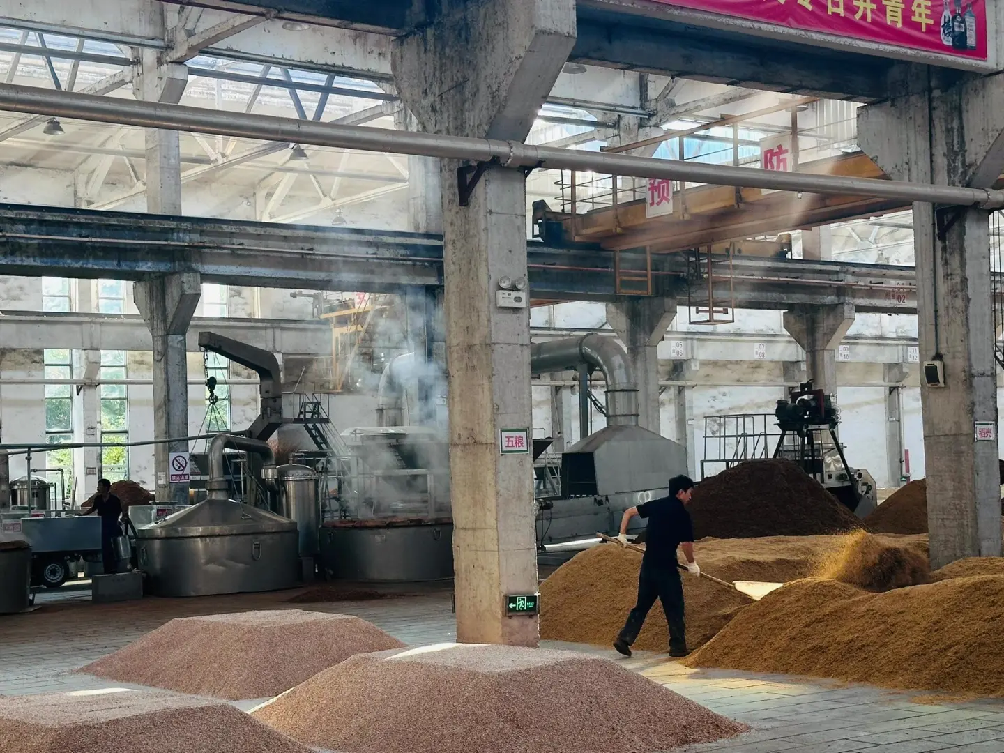 全民读“亳” 古井贡