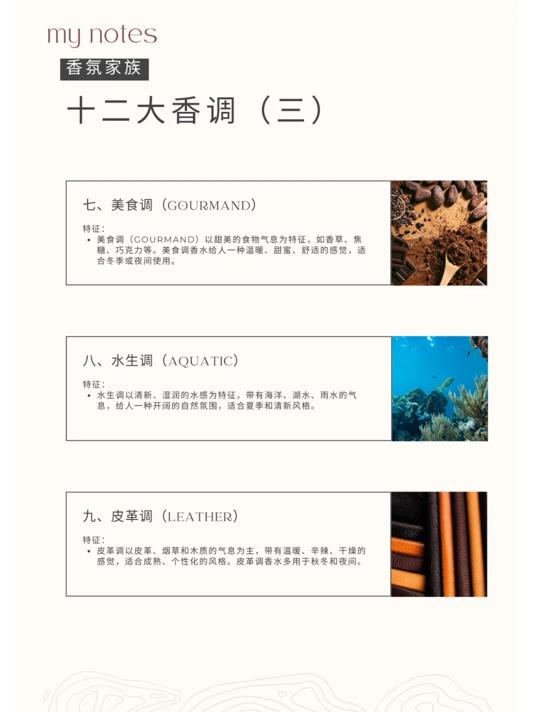 12大香调大起底?香水小白秒变大师?