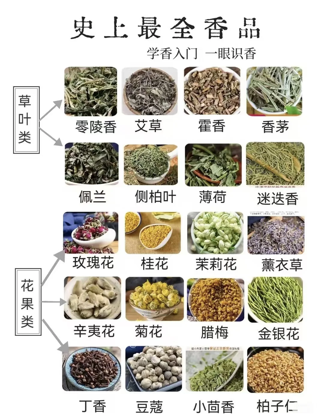 新手必看！超详细学香入门指南，带你一眼识