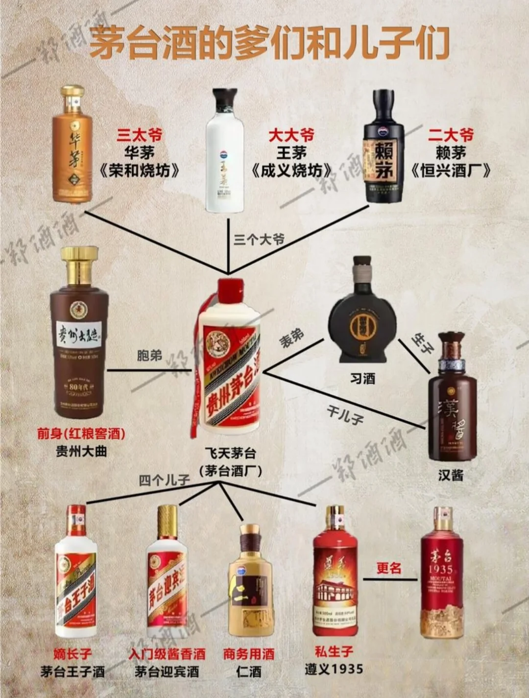 带你一起了解茅台家族。