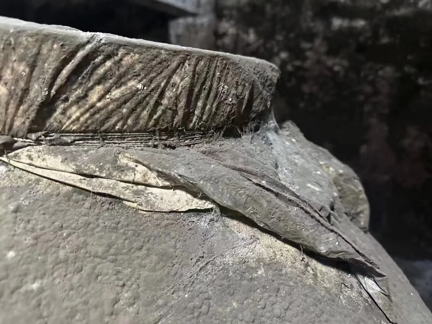 我们本地人都是存新酒喝老酒，就是陈的香