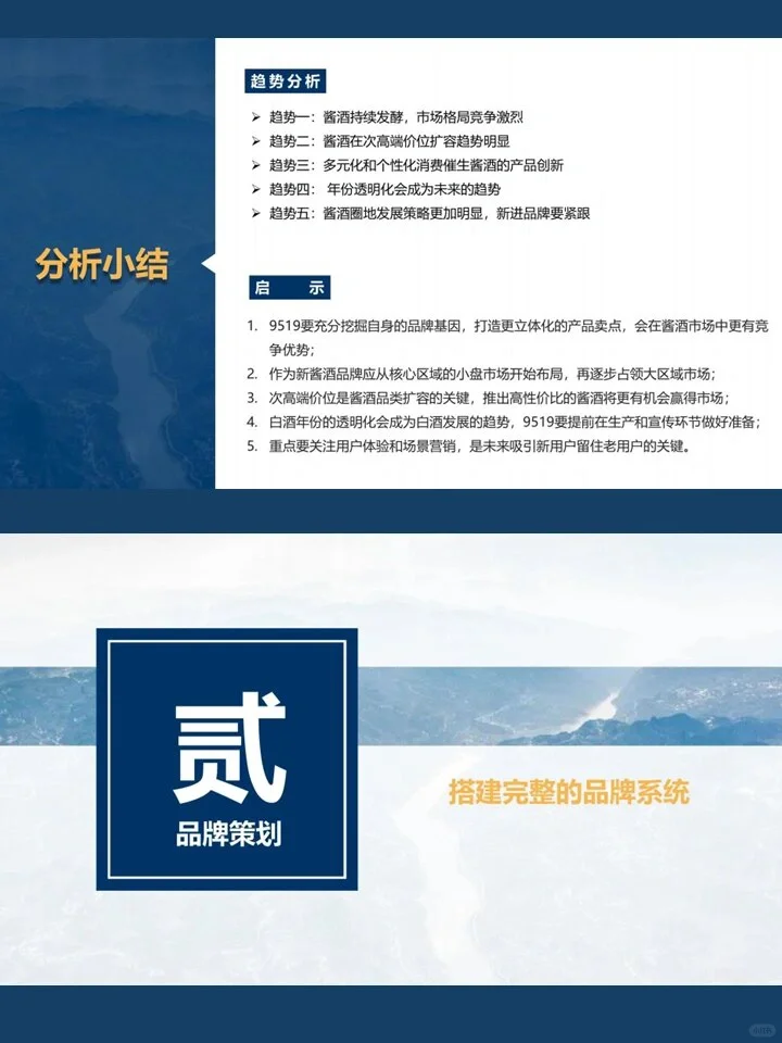 白酒品牌运营策略方案