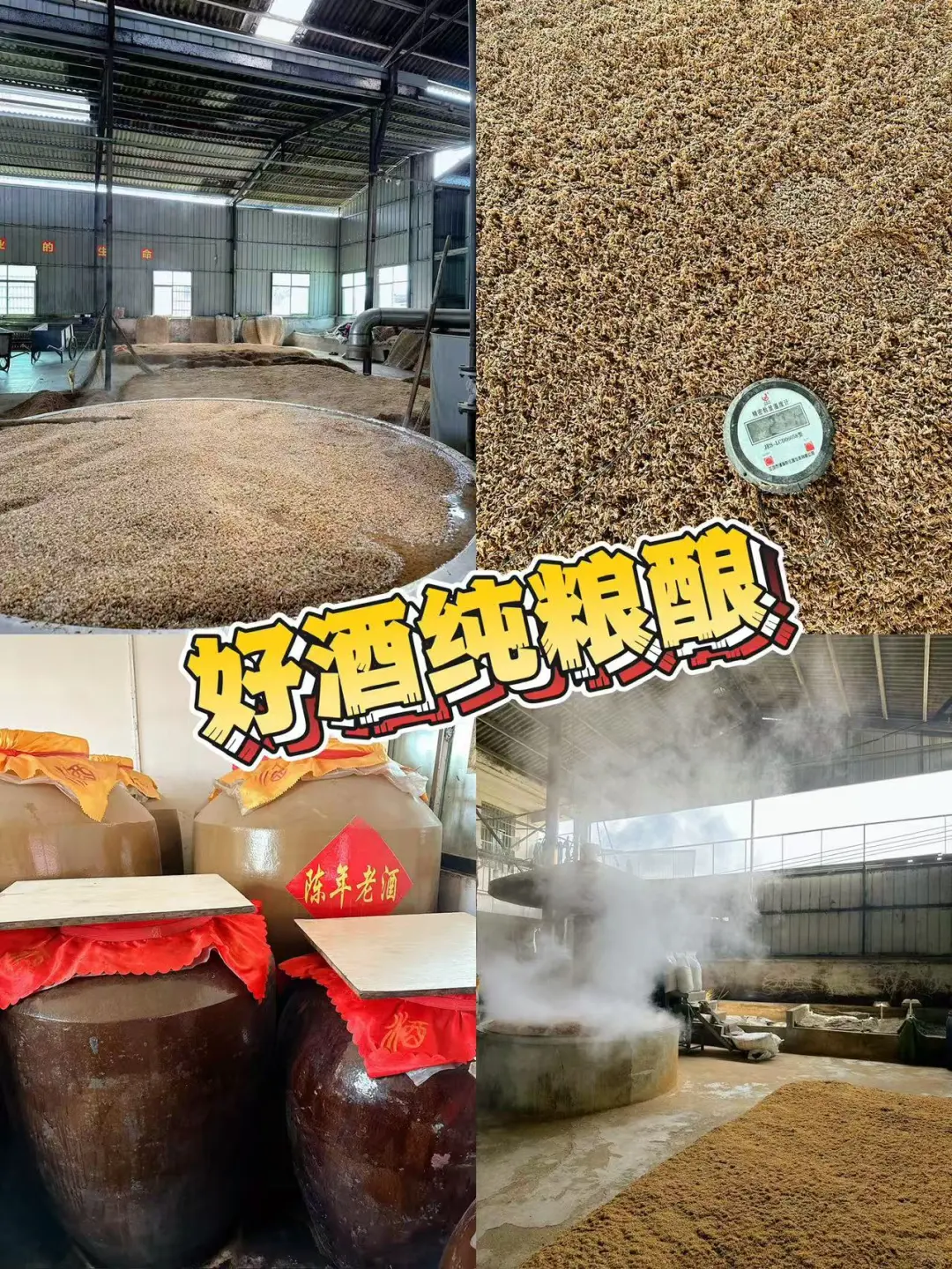 惊！自家酿的纯粮酒，一口就爱的不行～