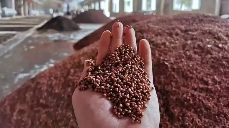 红缨子高粱，俗称小红梁！