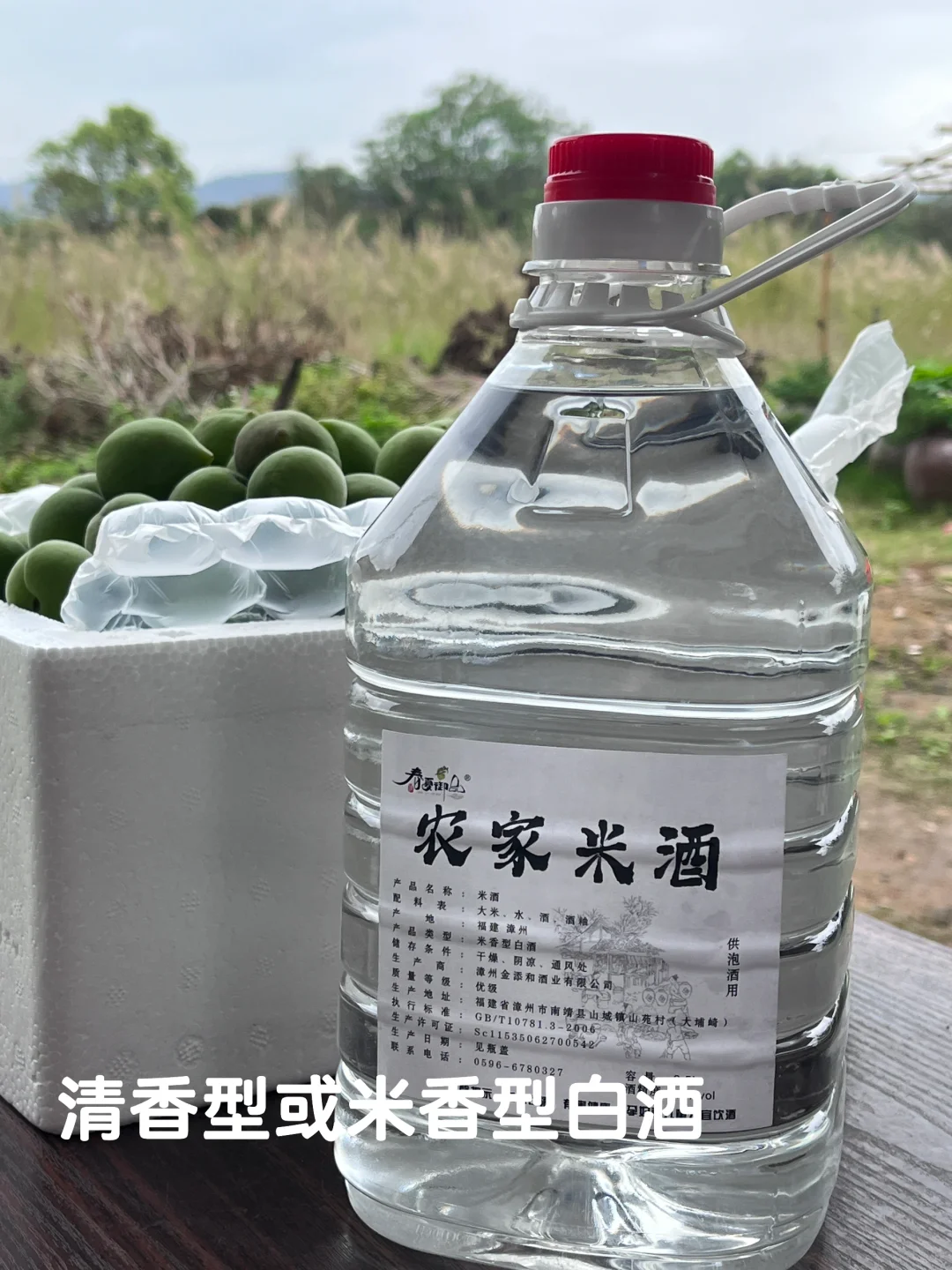 快来抄作业!教你泡出好喝不苦涩的青梅酒