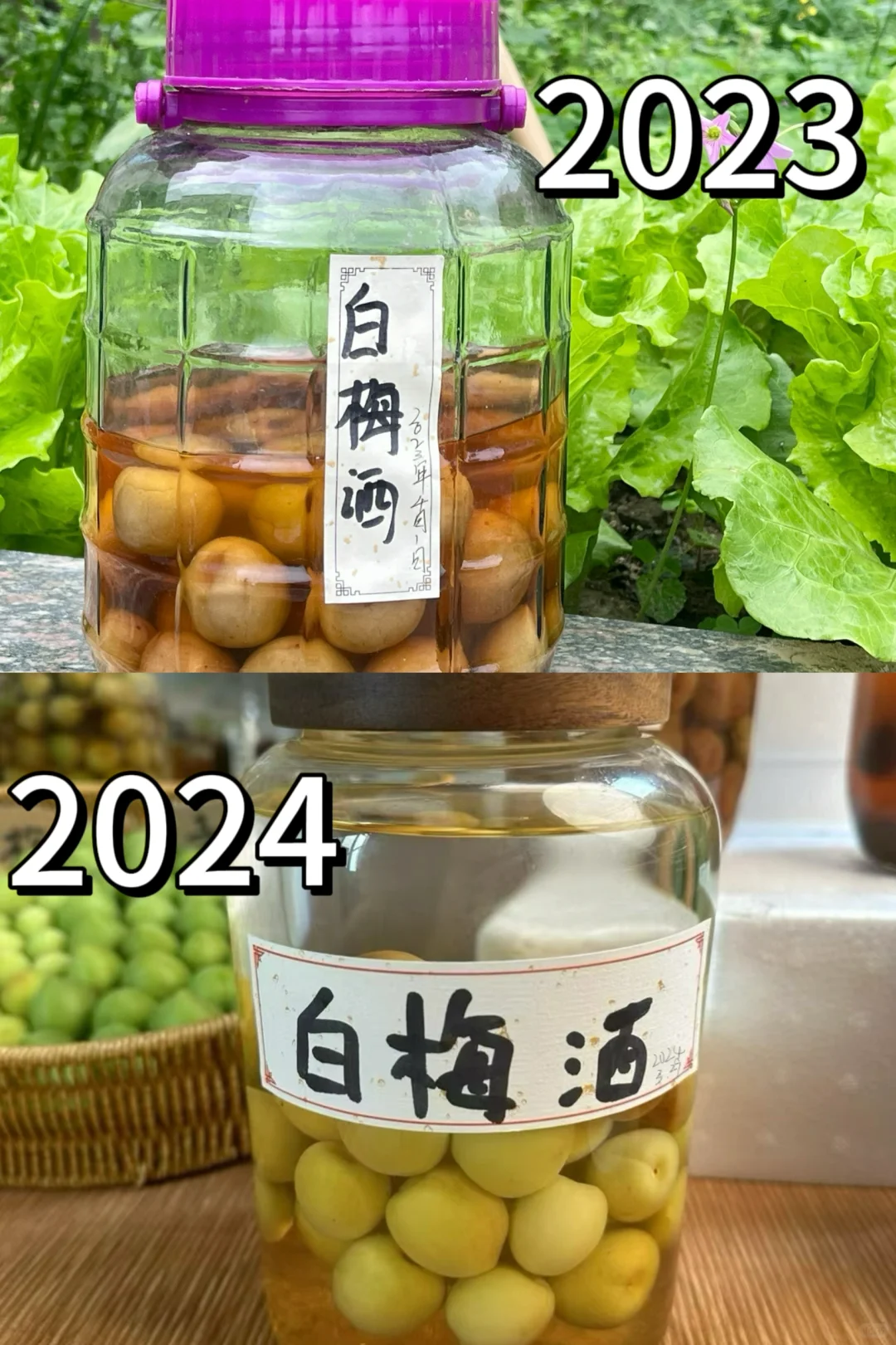 快来抄作业!教你泡出好喝不苦涩的青梅酒