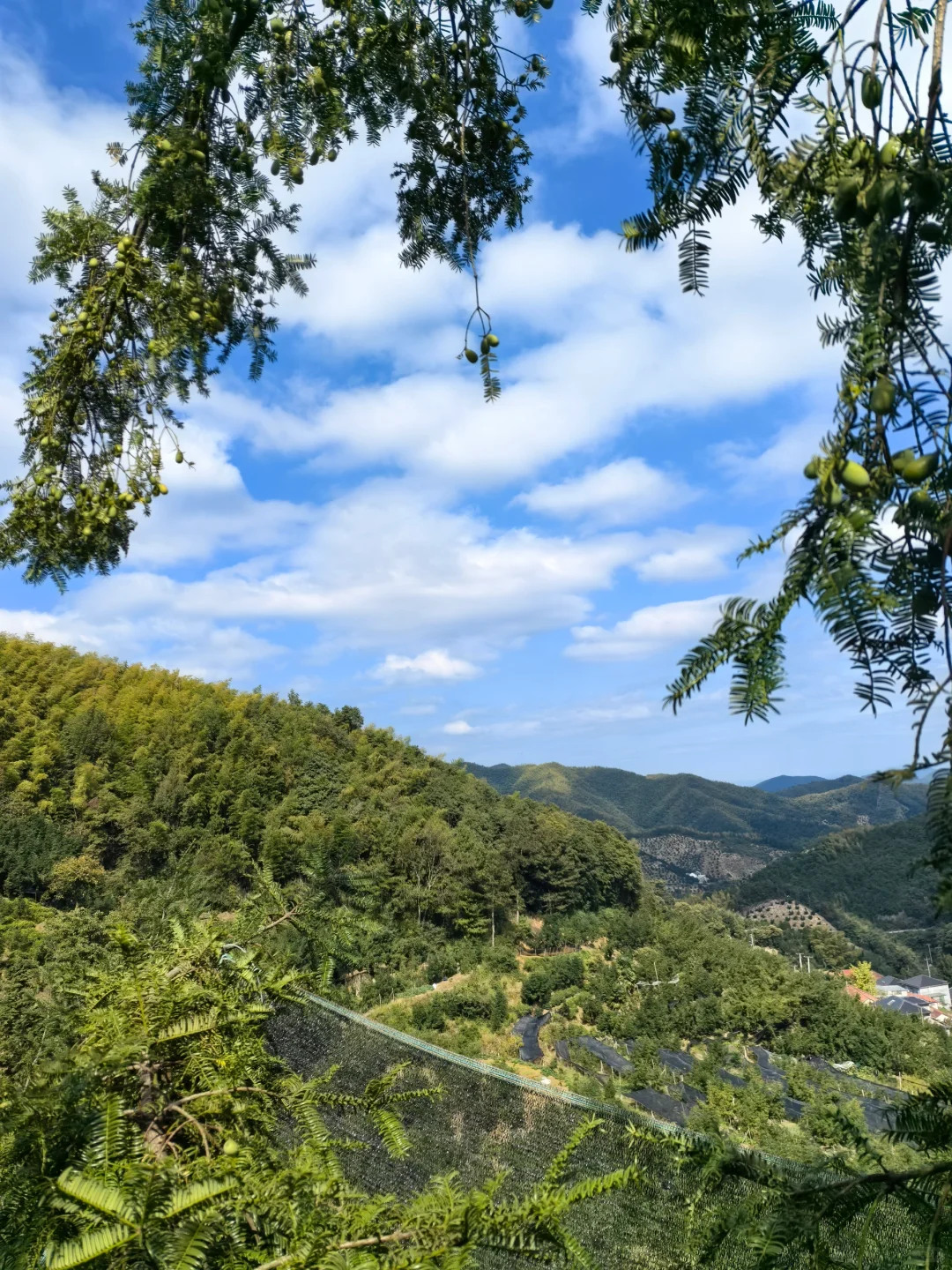 无添加纯粮酿造，每1滴都是大自然的馈赠耶