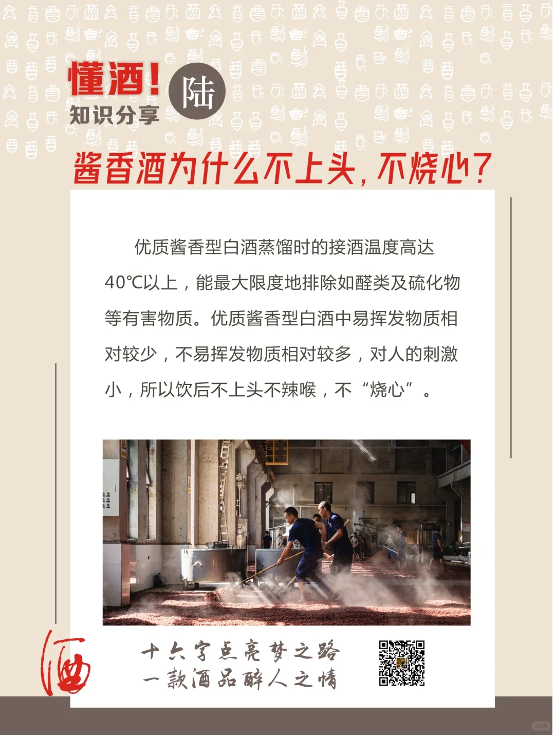 酒桌侃酱酒，小白秒变行家✨