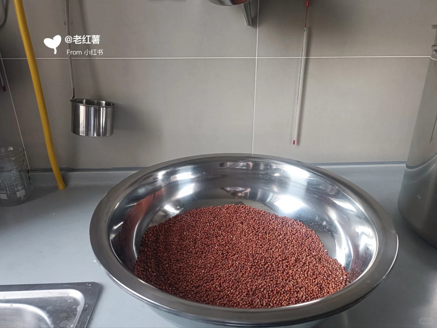 家庭自酿高粱白酒