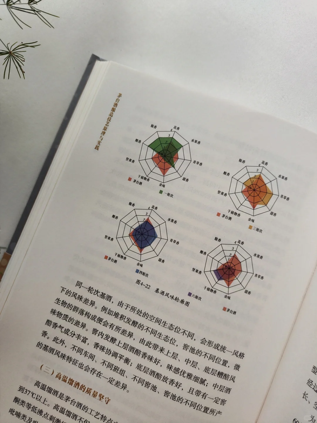 它是酒，也是文化——茅台