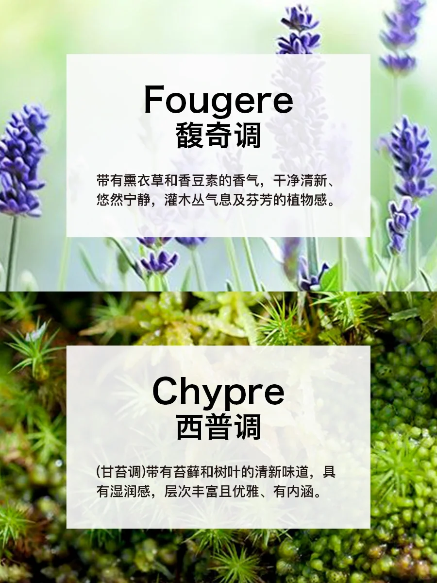 香水知识|12种香调分类