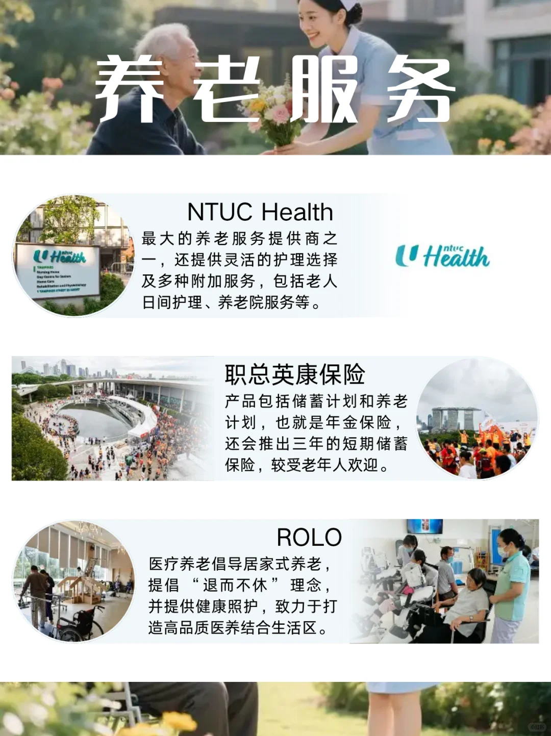 新加坡企业资源：科技/物流/养老??