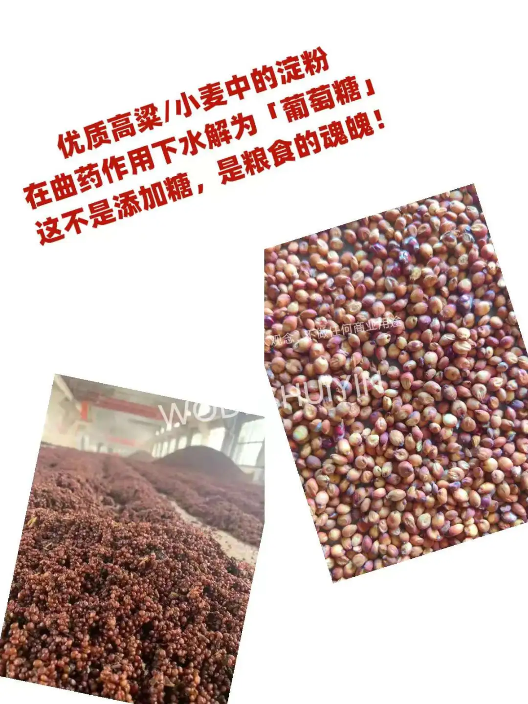 ??白酒禁止加糖，你喝的酒是糖水吗？