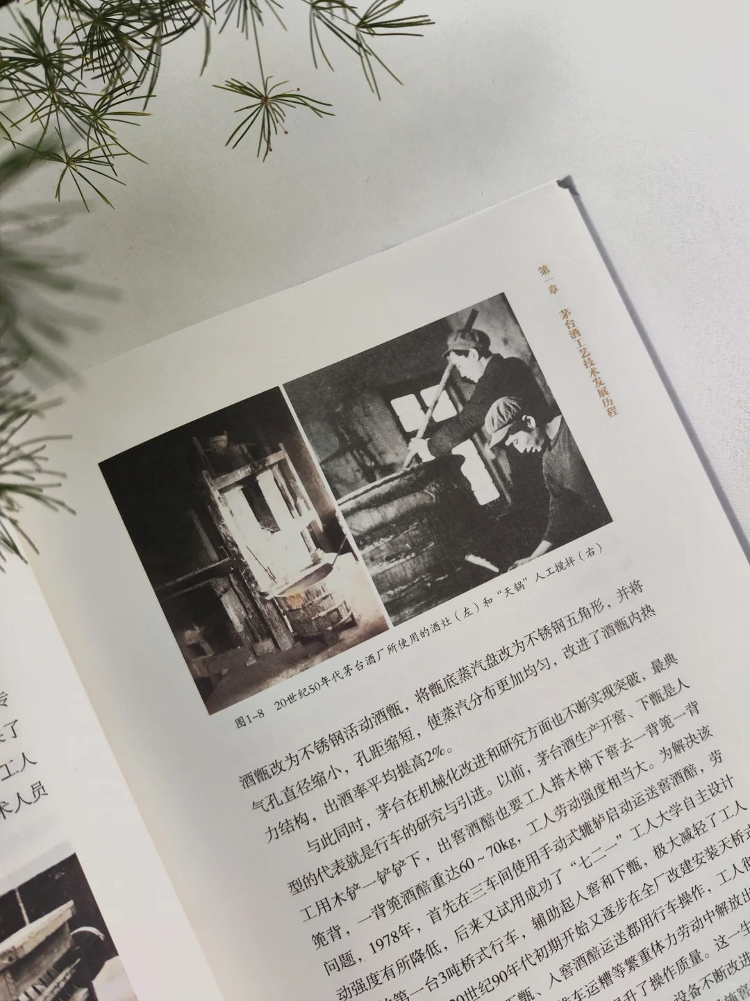 它是酒，也是文化——茅台
