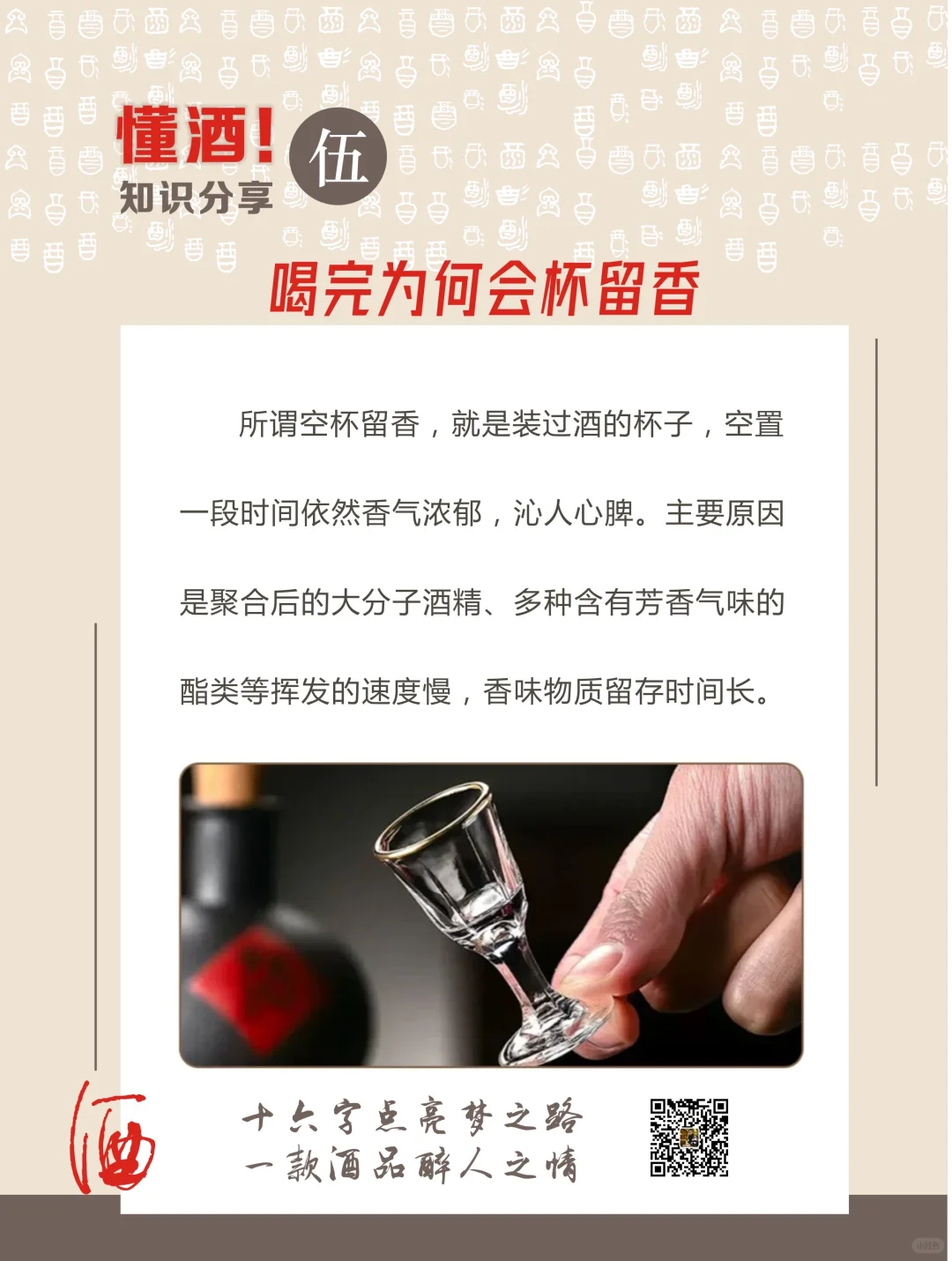 酒桌侃酱酒，小白秒变行家✨