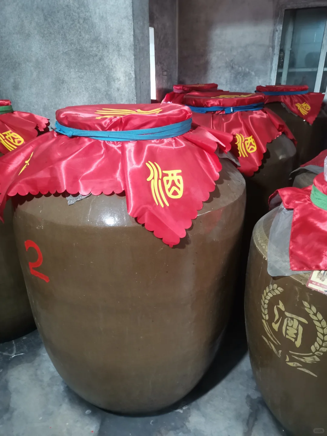 糯高粱9