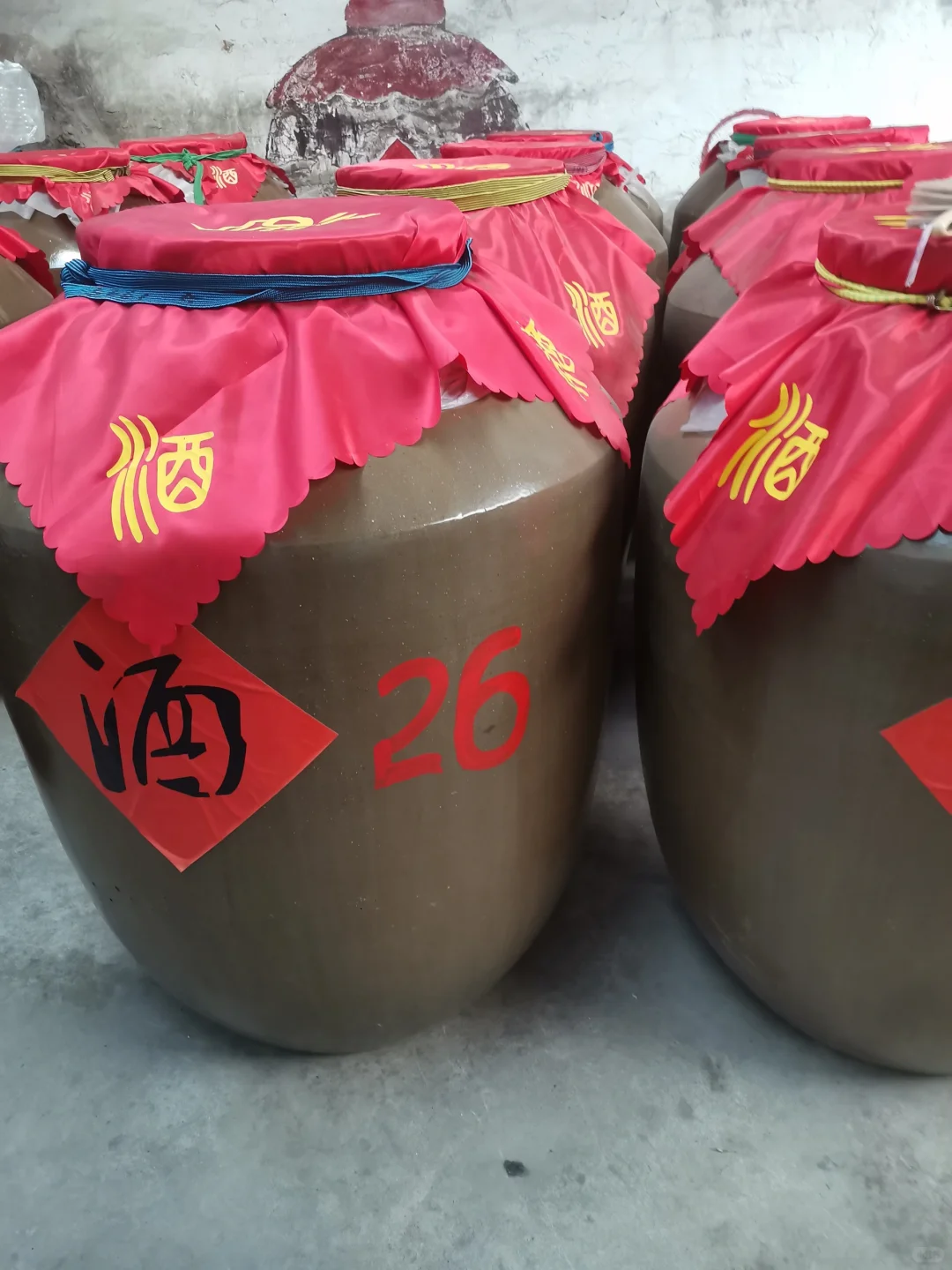 糯高粱9