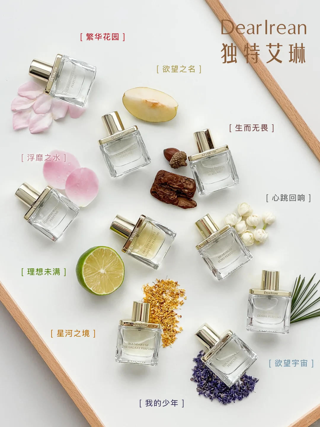 跟着MBTI盲买不踩雷！独特艾琳香水全测评