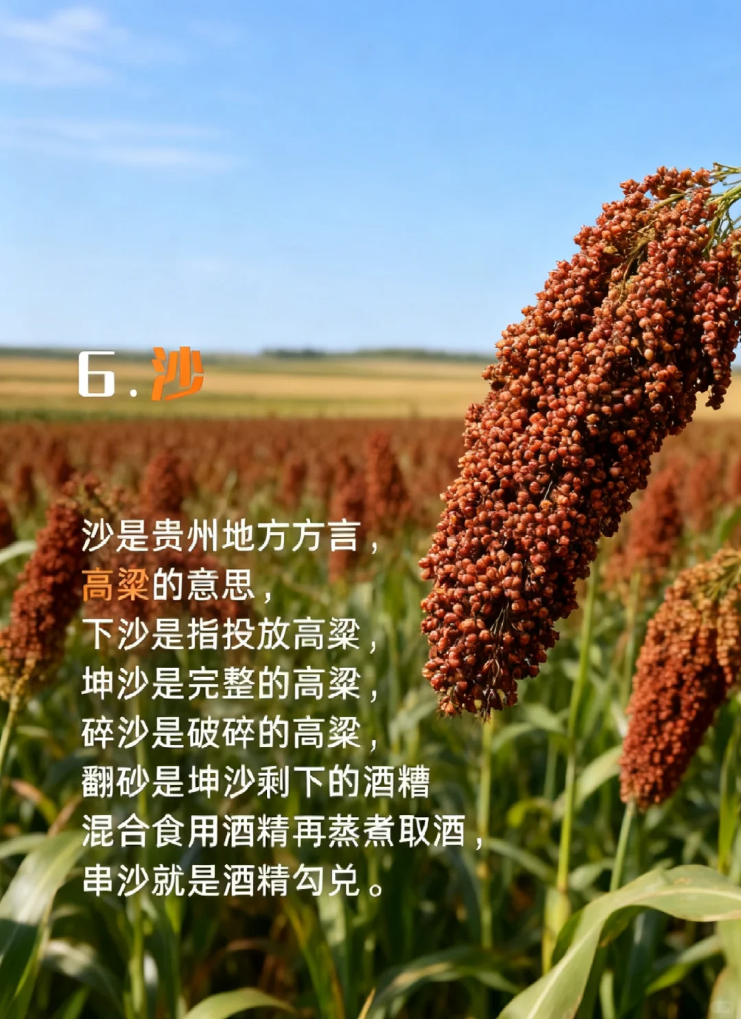 宝子们,今天浅懂酱酒~