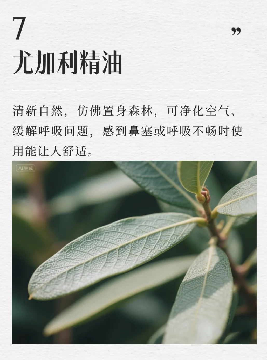 公认最好闻的十大精油，你最喜欢哪一种