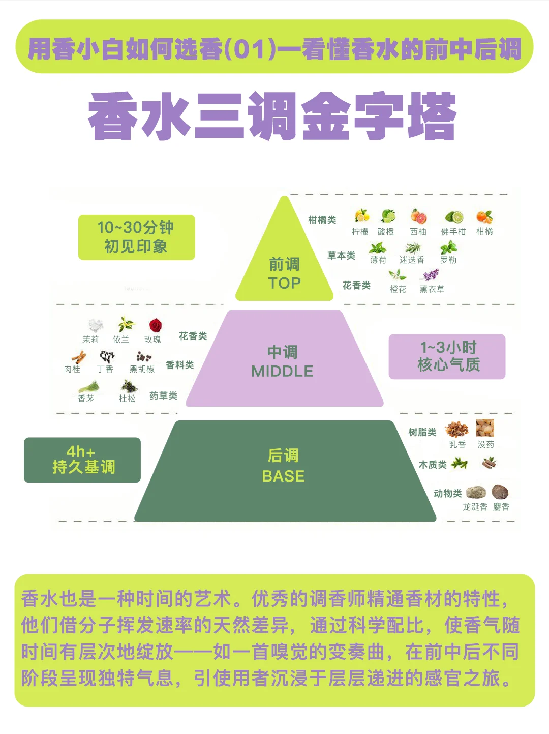 0基础看懂香水金字塔｜选香不踩雷