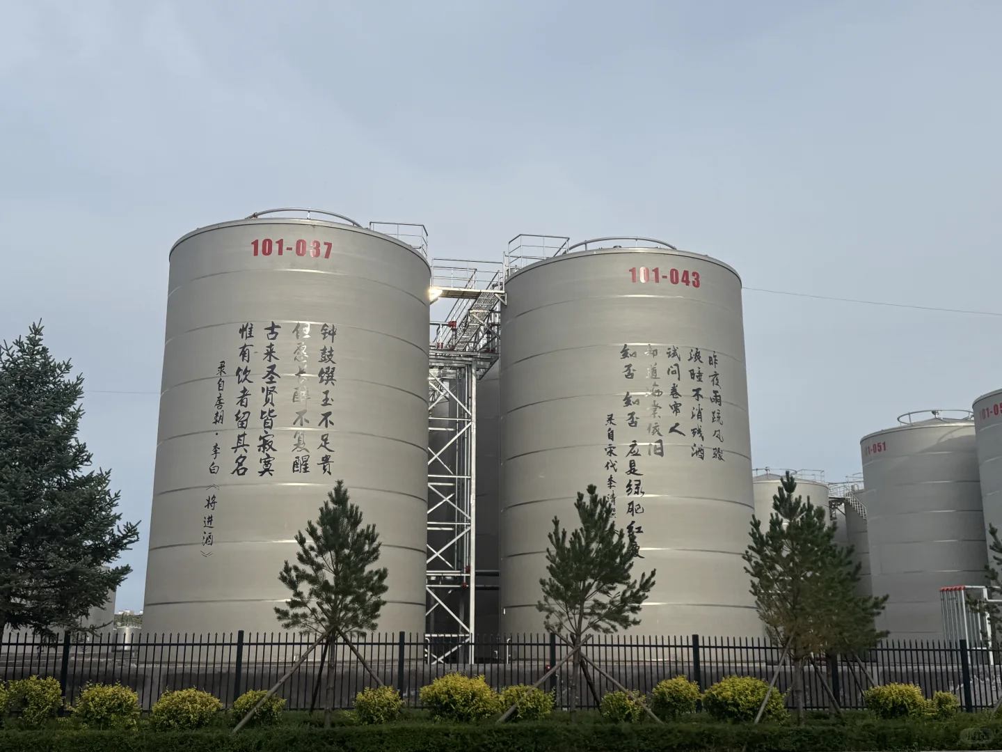 宝藏酒厂