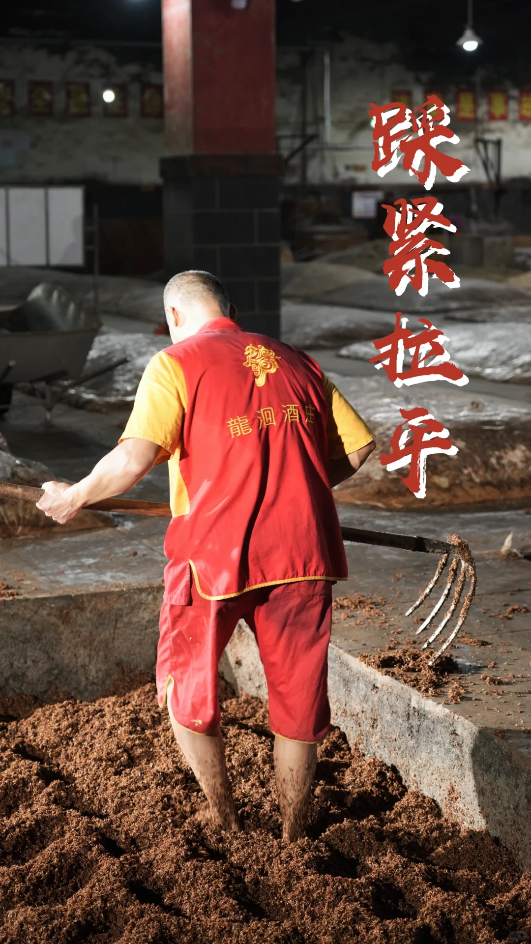 浓香型白酒酿造技艺之封窖