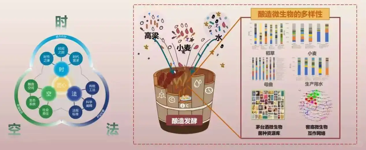 茅台酒酿造原理揭秘