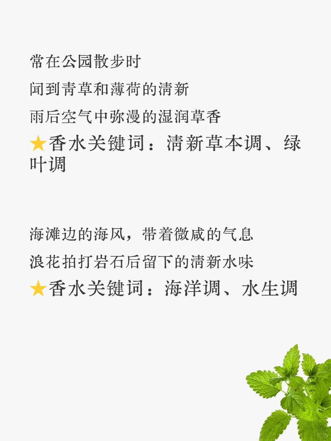 抓取嗅觉记忆 匹配香水关键词