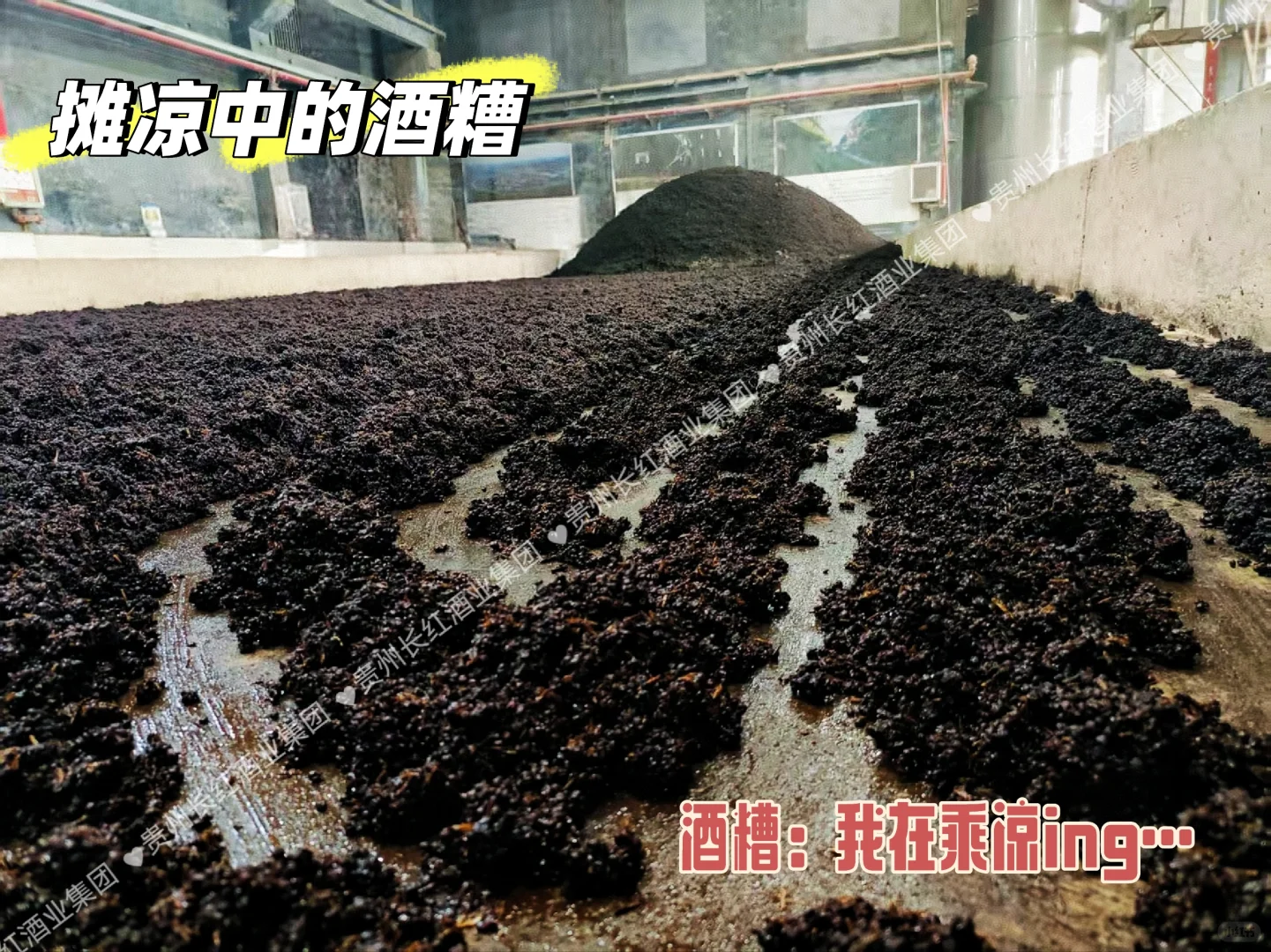 坤沙？下沙？你说什么沙？？？