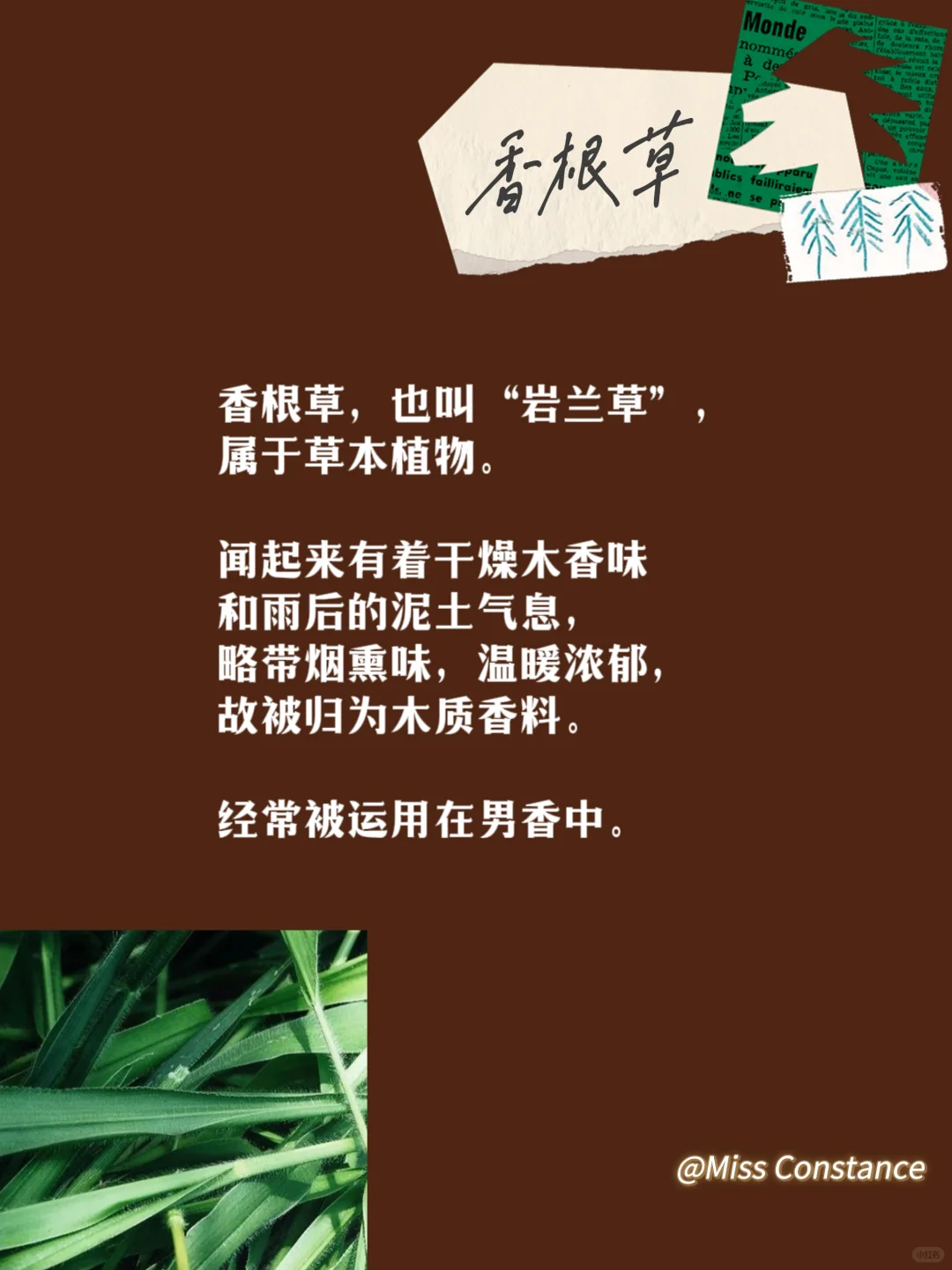 木质香科普来咯～