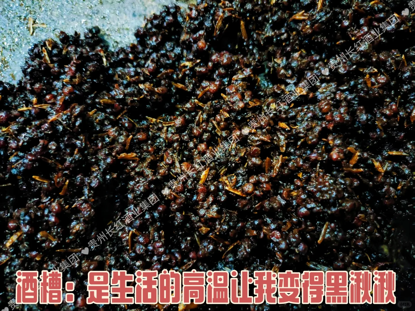 坤沙？下沙？你说什么沙？？？
