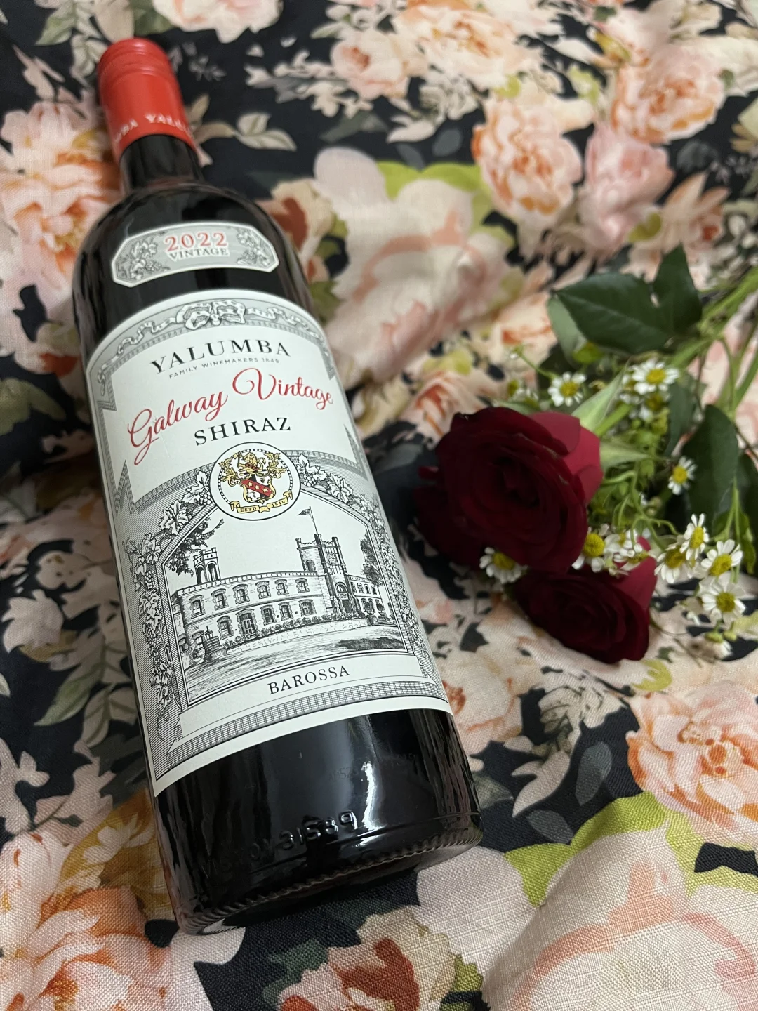 微醺丨终于喝上了!这是什么神仙红葡萄酒啊!