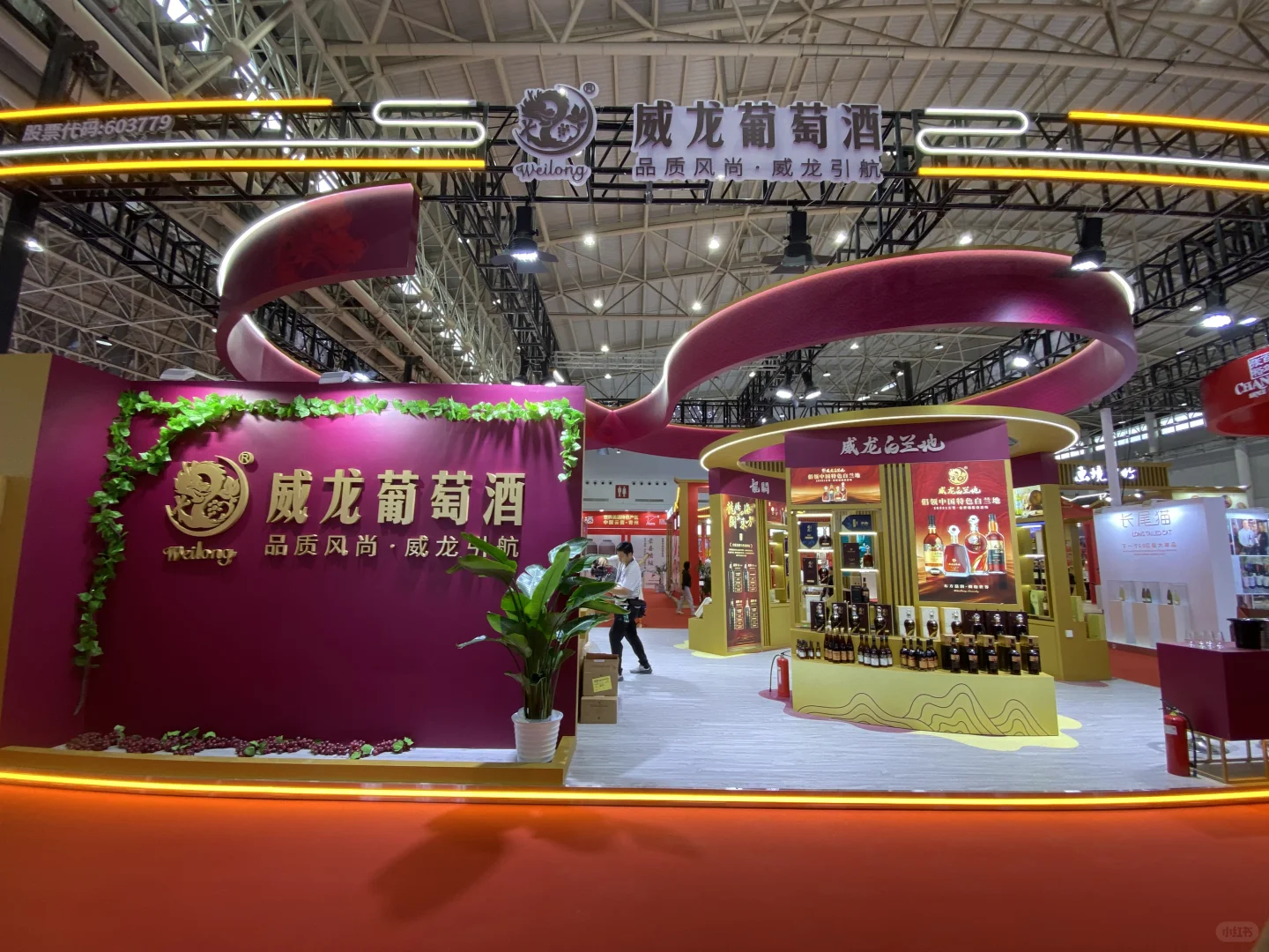 汉阳国博中心又有好玩的啦